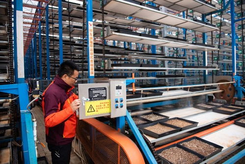 保姆式服務+智能化工廠+連片化土地——工業(yè)工程設計服務賦能湖南水稻大省春耕新圖景